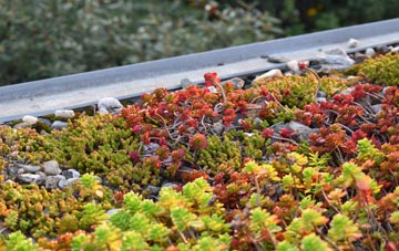 the cost of Scotbheinn green roof installation